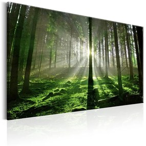 Quadro  Emerald Forest II  Colore Verde, Dimensioni e Misure 120x80