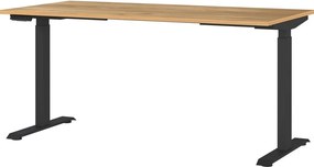 Scrivania con altezza regolabile elettricamente 80x160 cm Jet – Germania