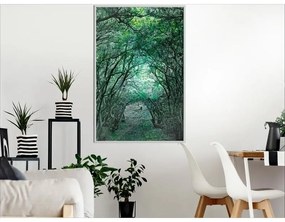 Poster Tree Tunnel