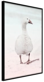 Poster  Walking Goose  Cornice Quadri Cornice nera, Larghezza x Altezza Home decor 20x30