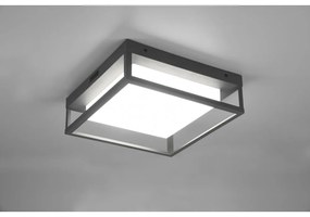 Applique da esterno a LED (altezza 10 cm) Witham - Trio