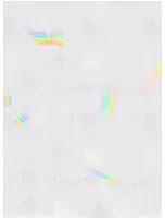 Coordonne Wandbild Iridato - 8000062N