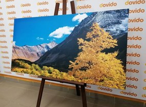 Stampa su tela – Natura magnifica in Kamchatka, Russia
