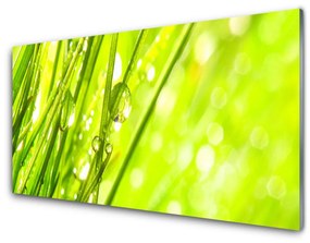 Quadro acrilico Natura Gocce d'erba 100x50 cm