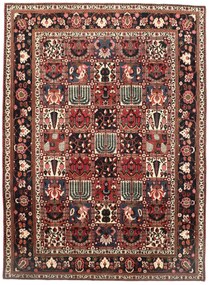 Bakhtiar Tappeto persiano 250x330 (Iran) Annodato A Mano
