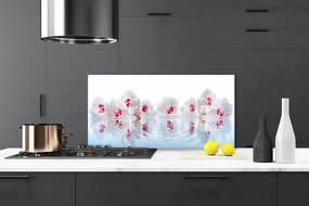 Pannello paraschizzi cucina Fiori Pianta Natura Art 100x50 cm