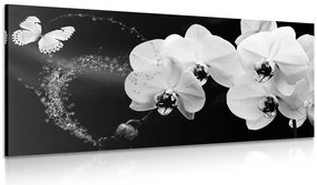 Stampa su tela – Orchidea e farfalla in bianco e nero