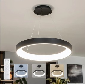 Brilagi - Lampadario LED dimmerabile a cavo FALCON II LED/99W/230V diam. 60 cm nero + telecomando