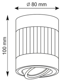 Luce Spot RUBIN 1xGU10/10W/230V nero