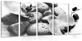 Quadri 5 pezzi – Armonia di pietre e orchidea in bianco e nero