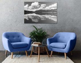 Stampa su tela – Natura in estate in bianco e nero