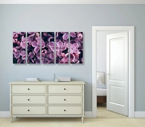 Quadri 5 pezzi – Fiori di lillà viola