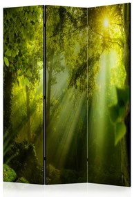 Paravento separè Nella Foresta Misteriosa II - Composizione verde di alberi al sole
