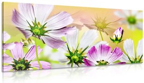 Stampa su tela – Fiori da giardino