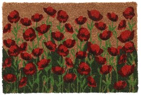 Stuoia di cocco 40x60 cm - Esschert Design