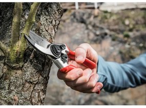 Extol Premium - Forbici da giardinaggio 215 mm