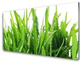 Pannello retrocucina L'erba La pianta 100x50 cm