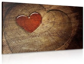 Quadro su tela – Cuore su tronco