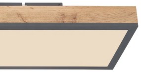 Globo 416080WD4-CCT - Plafoniera LED dimmerabile DORO LED/24W/230V + +TC