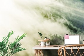 Carta da parati autoadesiva – Foresta nebbiosa