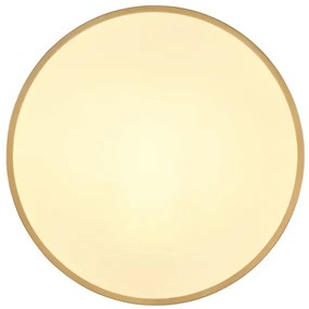 Globo 12381-30 - Plafoniera LED TIBEY LED/30W/230V diametro 45 cm