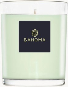 Candela profumata fatta a mano Alchemy (primula, legno d'ambra)