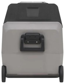 Borsa Frigo con Ruote e Adattatore Nera e Grigia 36 L PP e PE