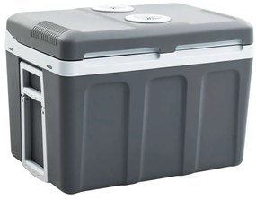 Scatola Termoelettrica Portatile 40 L 12 V 230 V E /