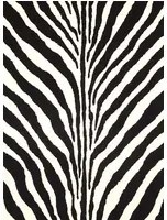 Ralph Lauren Carta da parati Bartlett Zebra - Charcoal