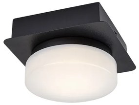 Rabalux 75001 - Plafoniera LED da bagno ATTICHUS LED/5W/230V IP44 4000K