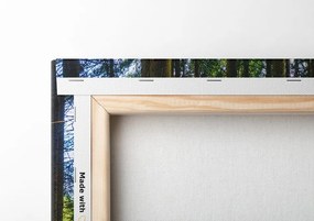 Stampa su tela – Mattina nella foresta