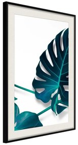 Poster  Turquoise Monstera I  Cornice Quadri Cornice nera con pass-partout, Larghezza x Altezza Home decor 20x30