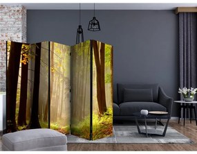 Paravento  Mysterious forest path II [Room Dividers]  Colore ---, Dimensioni e Misure 225x172