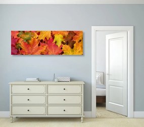 Quadro su tela – Foglie autunnali