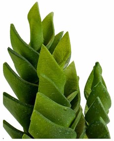 Pianta Decorativa Succulenta Plastica 12 x 24 x 12 cm (6 Unità)