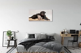 Quadro acrilico Cani bugiali 100x50 cm