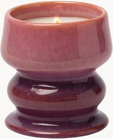 Candela profumata in ceramica Melt Ombre (fico selvatico & cedro)
