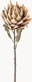 Set di 2 fiori artificiali Protea