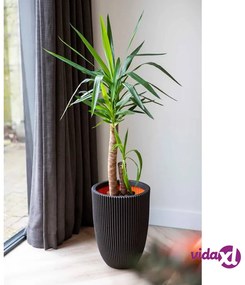 Capi Vaso Elegante Groove 34x46 cm Nero