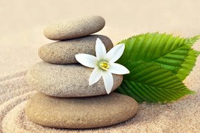 Quadro su tela – Fiore bianco e pietre nella sabbia