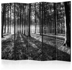 Paravento design Foresta grigia II - Paesaggio boschivo in bianco e nero