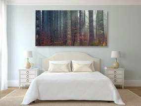 Quadro su tela – Mistero della foresta