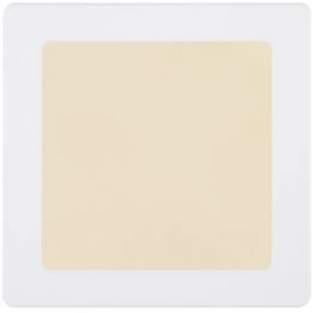 Globo 12380-12W - Plafoniera LED LASSE LED/12W/230V 3000/4000/6500K bianco