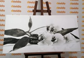 Quadro su tela – Natura morta con pietre Zen in bianco e nero