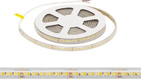 Striscia LED CCT Bianco Variabile 24V 20W/m Professionale - IP67- 5 metri