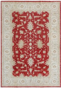 Ziegler Tappeto orientale 170x240 Rosso (Pakistan) Annodato A Mano