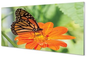 Quadro vetro Fiore di farfalla colorato 100x50 cm