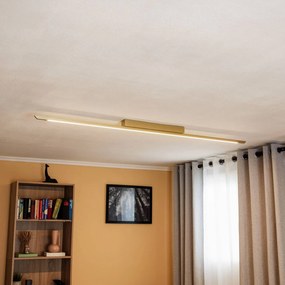 Quitani Niara plafoniera LED, crema anodizzato