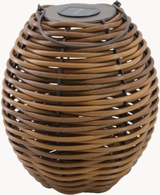 Lampada da tavolo solare portatile a LED con luce regolabile Raffy