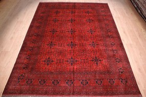 Afghan Tappeto 250x340 (Afghanistan) Annodato A Mano